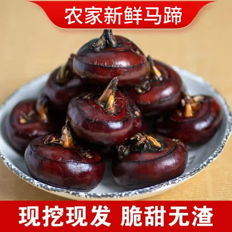 现挖现发新鲜马蹄荸荠地栗地梨脆嫩带泥发货3斤/5斤送削皮刀