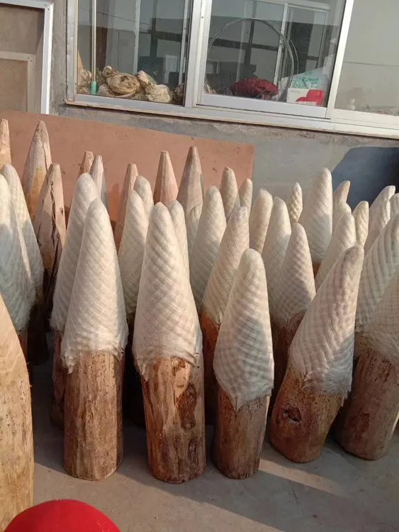 捉小鱼的漂袖网，高度16厘米，长度20米左右，一指网眼，兜长35厘米