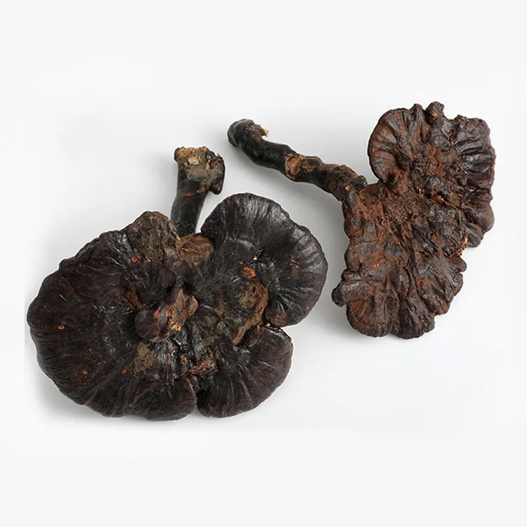 正宗深山紫灵芝山货 参菌菇煮水煲汤