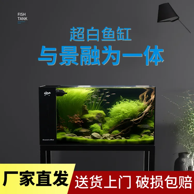 GING精晶刺客mini溪流缸新款轻奢客厅小型家用背滤测滤龟缸生态缸