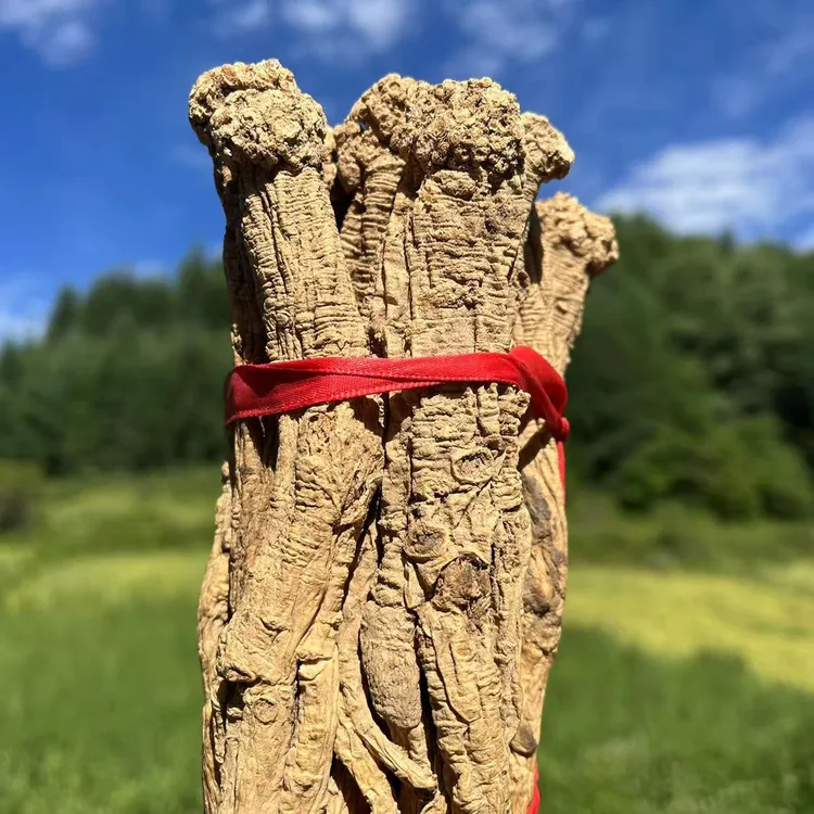 【大条野老党参】甘肃大山里面采挖精选正品大条野党参250克包邮