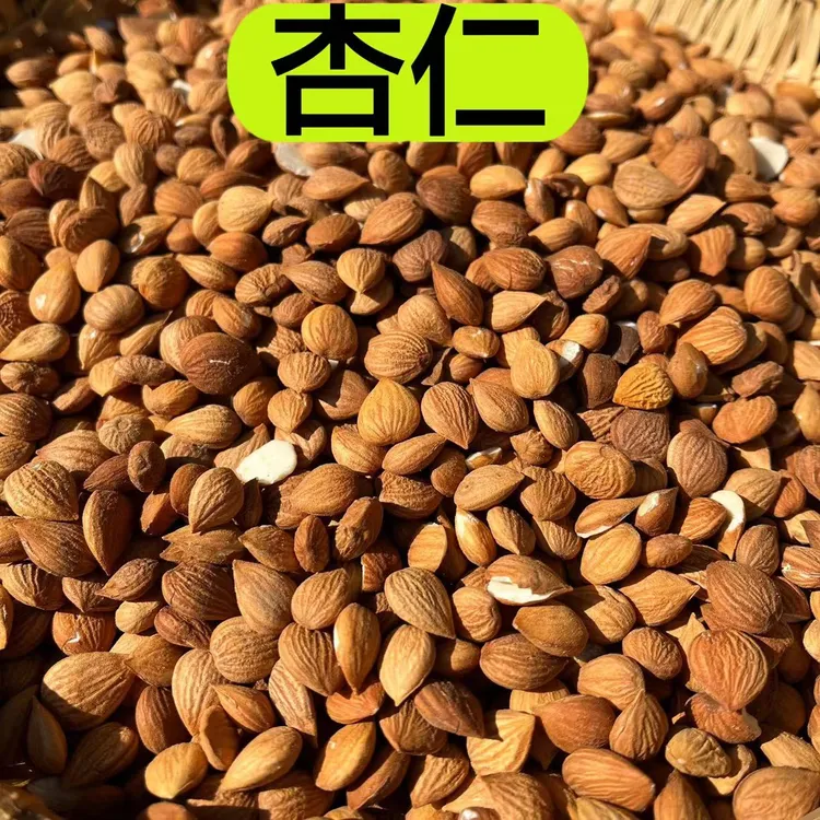 【苦杏仁】甘肃陇南产杏仁  农户自产杏仁 没有去皮 150克