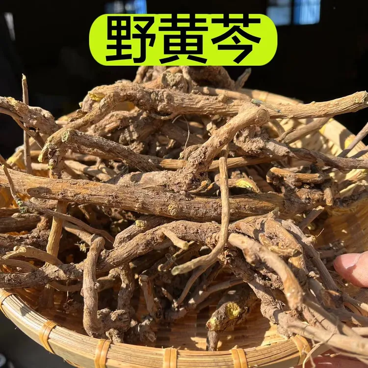 【野黄芩根茎】甘肃野黄芩 精选黄芩 野外多年生长 参150克食用