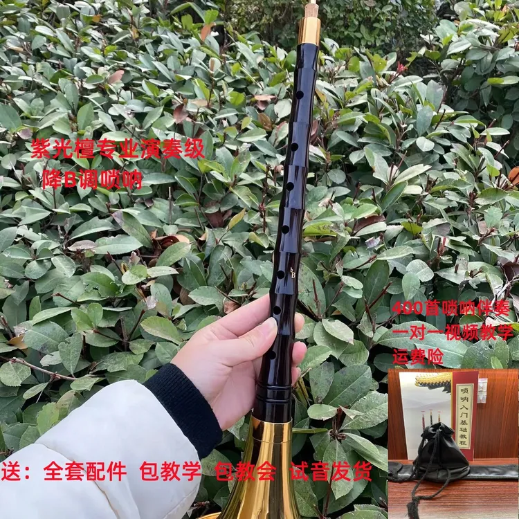 包教学紫光檀降B调唢呐舞台演奏级