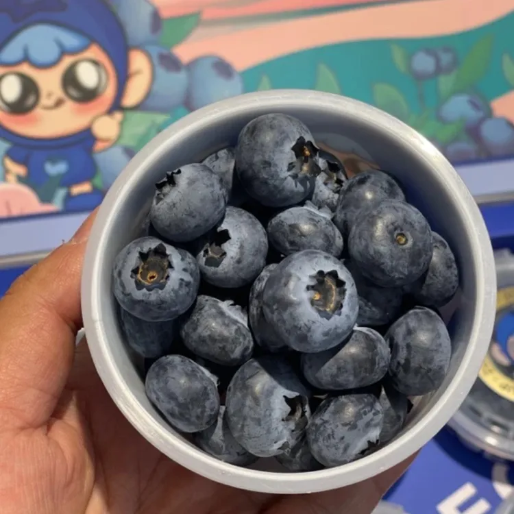 枝冠—星辰杯蓝莓9*100g脆甜带浓香味孕妇宝宝水果