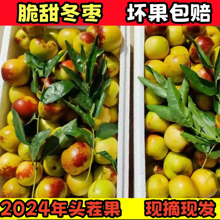 【沾化冬枣1】冰糖冬枣3/5斤装现脆甜冬枣孕妇新鲜应季水果