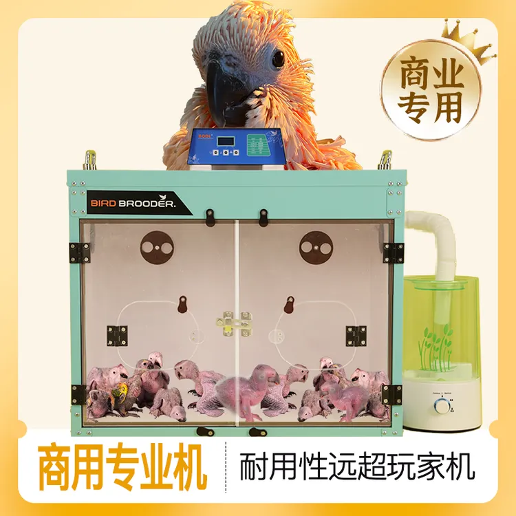 AODL鹦鹉保温箱幼鸟保暖玄凤育雏恒温箱中号鸟用宠物急救自动温湿