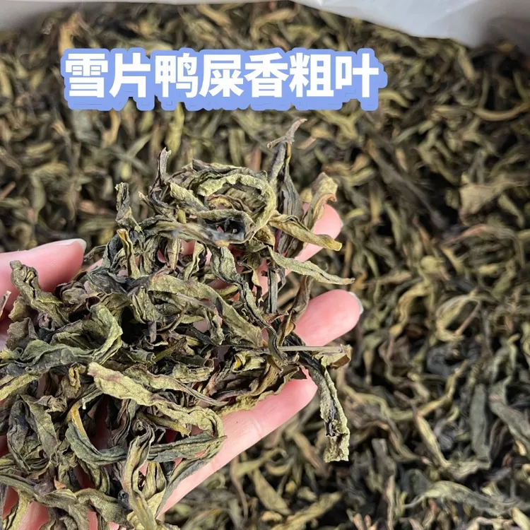 凤凰单丛雪片鸭屎香粗叶二米清香型蜜兰香凤凰单枞茶叶柠檬茶奶茶