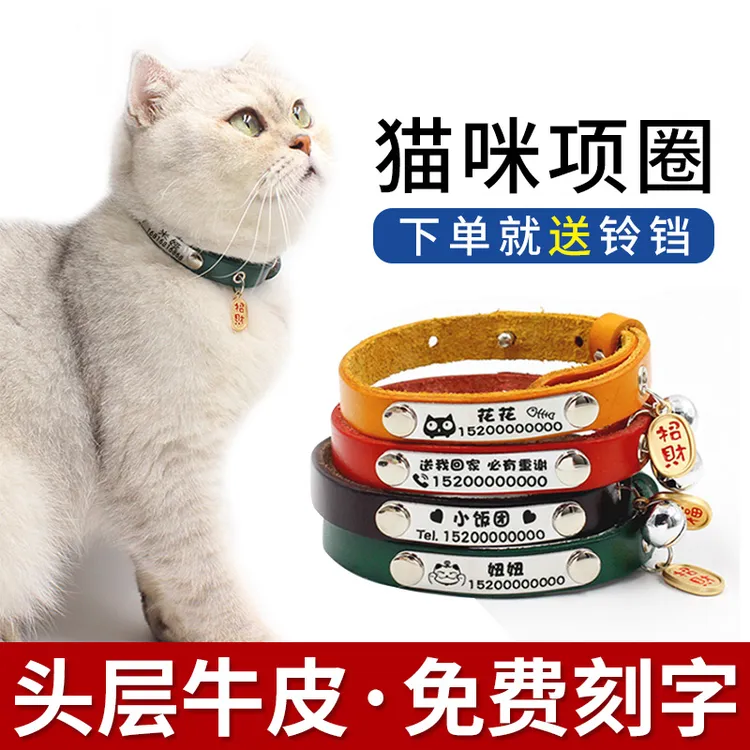 柔软项圈铃铛猫牌防丢猫头套定制真皮身份牌幼猫脖圈项链刻字项圈