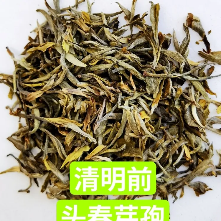 甘肃临夏袋装老春茶明前墨江春尖芽茶新春尖西北罐罐茶热性新茶茶