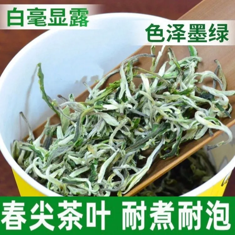 2025云南普洱春尖绿茶，白毫浓香绿茶，甘肃西北罐罐茶！