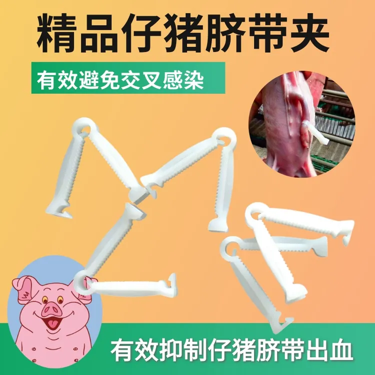 一次性小猪用脐带夹 仔猪护脐带 小猪脐带夹 仔猪脐带夹 养猪设备