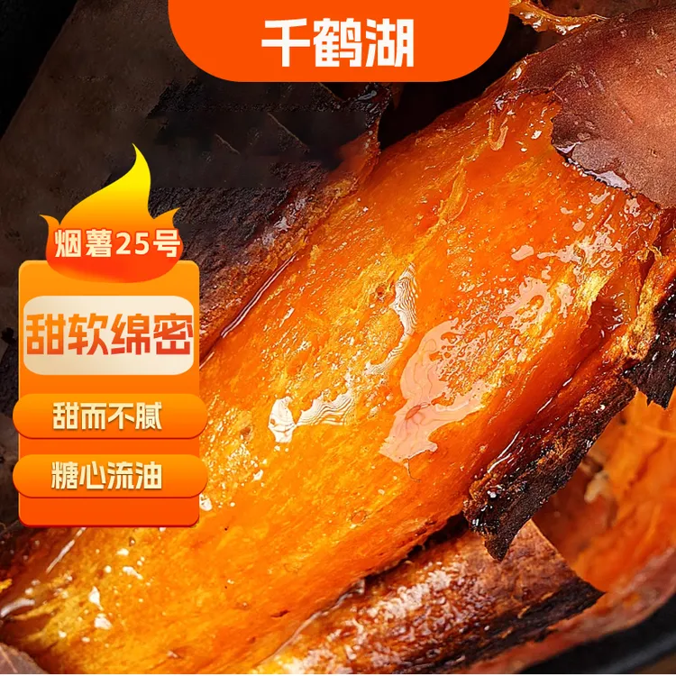 【千鹤湖】山东烟薯净重4.5斤中果8-12根