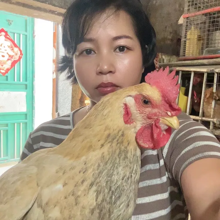 【妙姐】精选果园鸡杀好净重