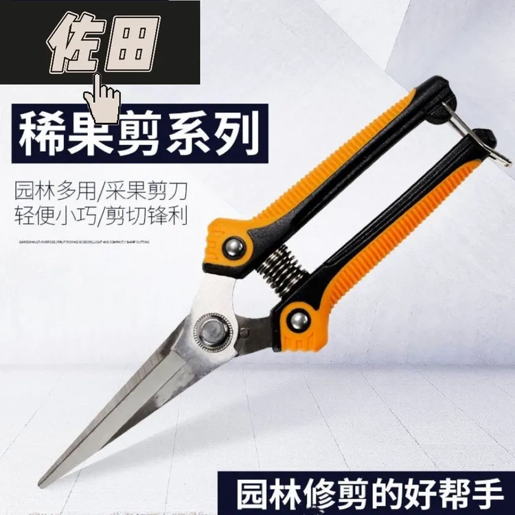 佐田K5疏花稀果园艺剪修枝剪枝盆栽多肉剪刀花艺柚剪修剪树枝剪刀