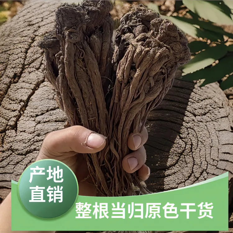 （甘肃岷县直发）整根当归搭配党参黄芪煲汤泡水