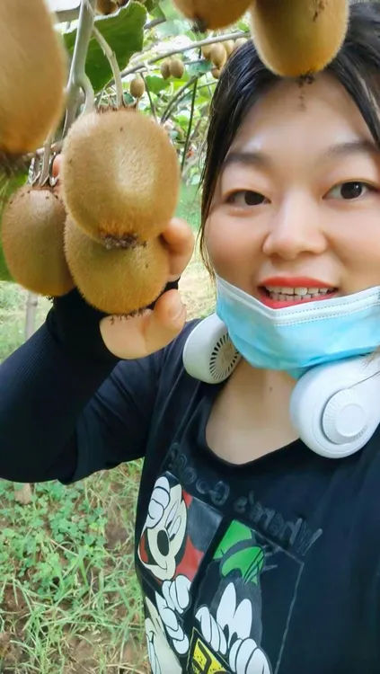 5斤彩箱装陕西当季水果新鲜绿心猕猴桃正宗徐香自家果园孕妇奇异