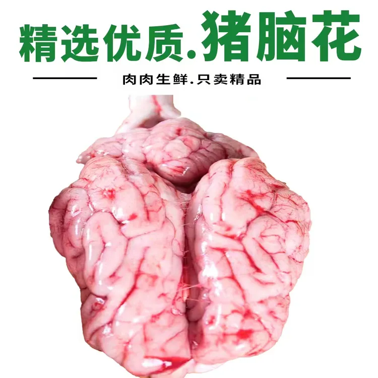 猪脑花 8个包邮新鲜餐饮商用家用优质精选