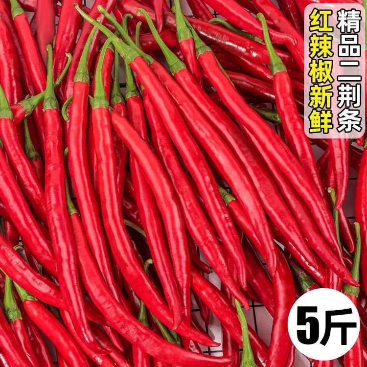 红辣椒新鲜红线椒二荆条长线椒尖椒现摘红辣新鲜蔬菜辣椒酱泡椒