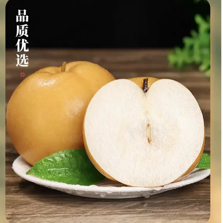 山东正宗冰糖丰水梨新鲜果园采摘发货香甜爽口皮薄细腻多汁无渣