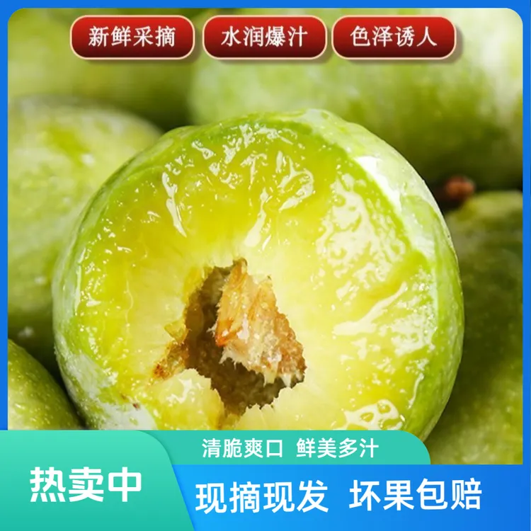 正宗贵州清脆多汁李酸脆酸甜脱骨李新鲜好吃爽口孕妇水果现摘现发