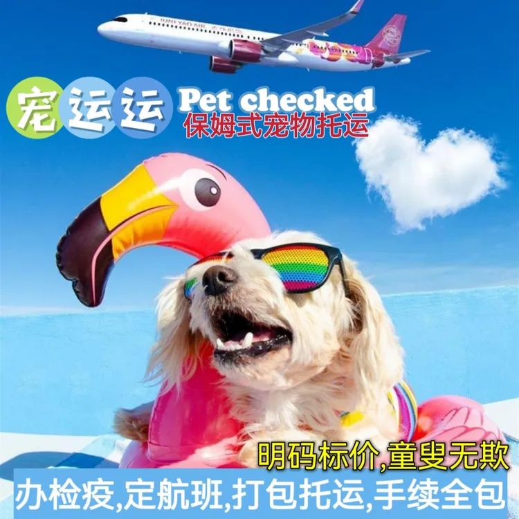 （宠运运）国内国际宠物托运连锁手续全包狗狗猫猫咪活动体航空箱