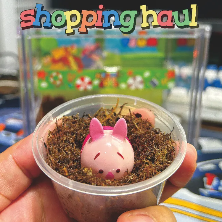 卡通壳（大）寄居蟹替换壳手工寄居蟹替换壳1.5-1.8口径(没有蟹)