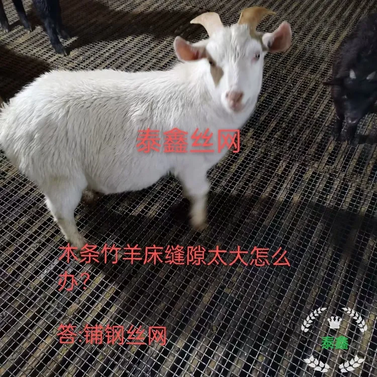 包邮2.0毫米线径1.8公分网孔羊床钢网养殖网鸡鸭鹅狗漏粪围栏网
