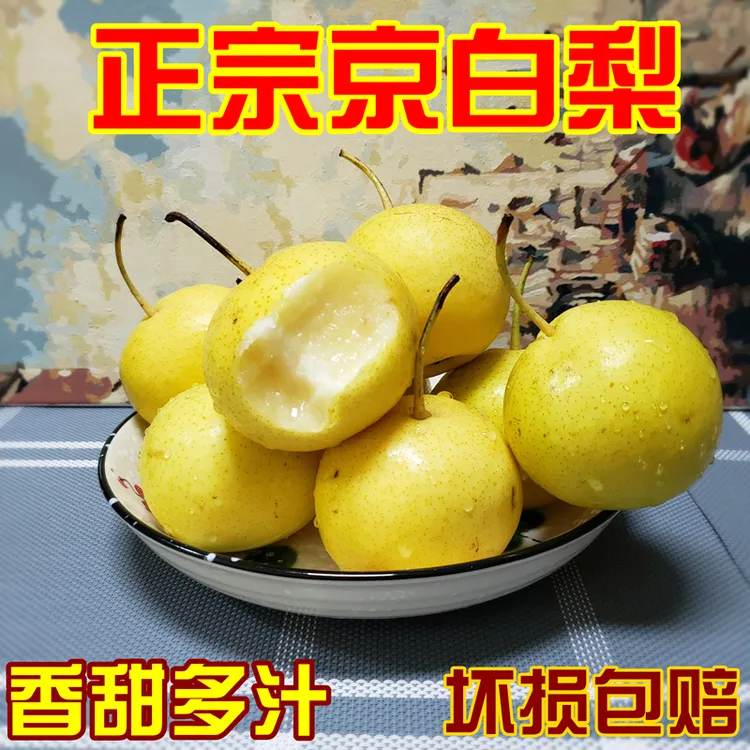 正宗京白梨新鲜水果软绵清甜多汁整箱包邮辽宁特产农家种植软梨子