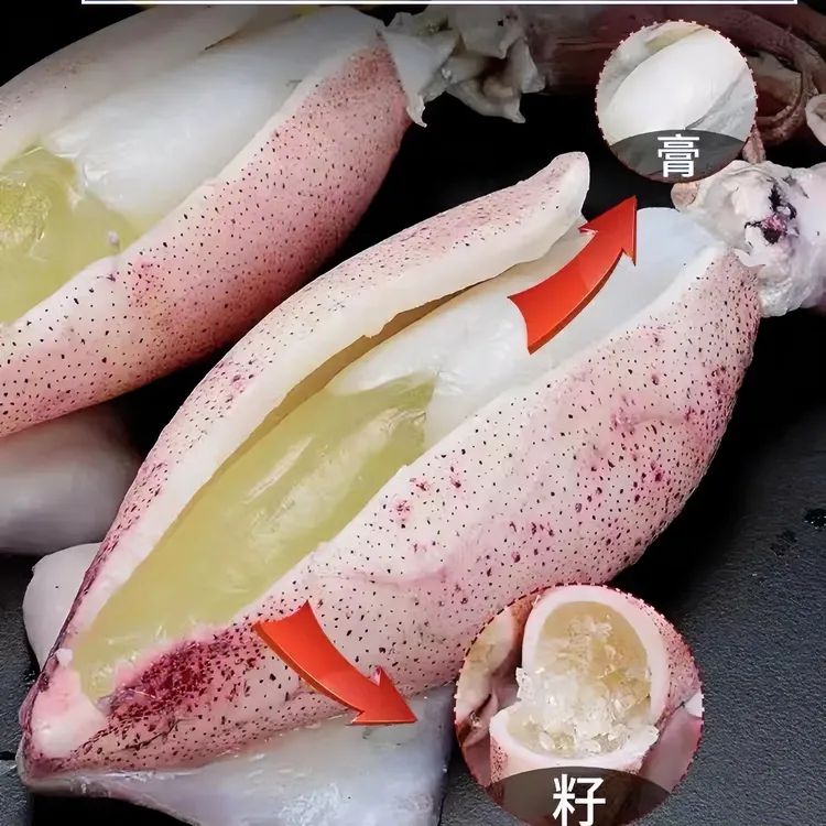 海兔子满籽鲜活笔管鱼带籽海兔海鲜鲜冻全籽籽乌1.5/2/4斤包邮