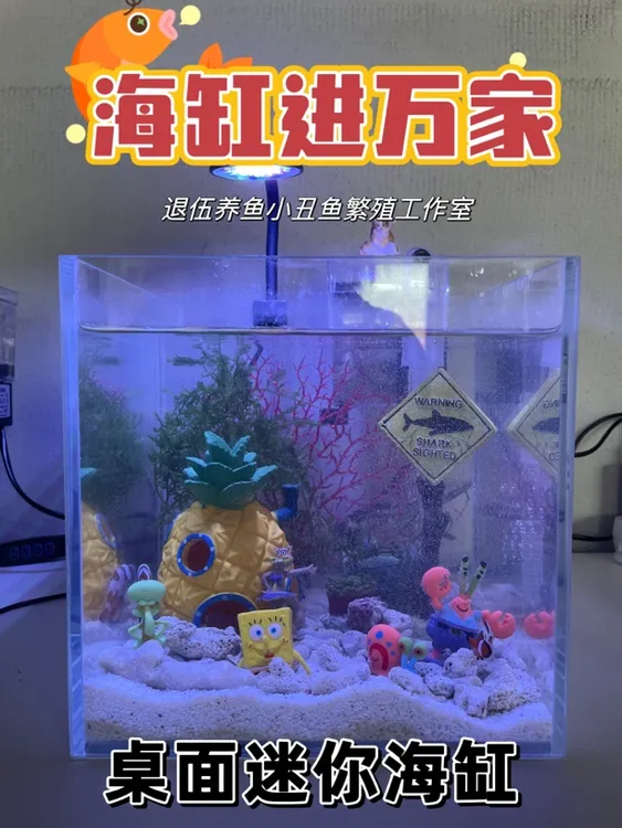 20*20*20 桌面小丑鱼海缸（不含生物）