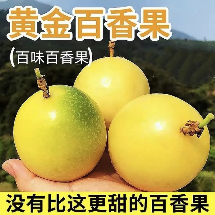 潮汕百香果树熟现摘发大中小果香甜多汁口感果皮皱后甜更好吃