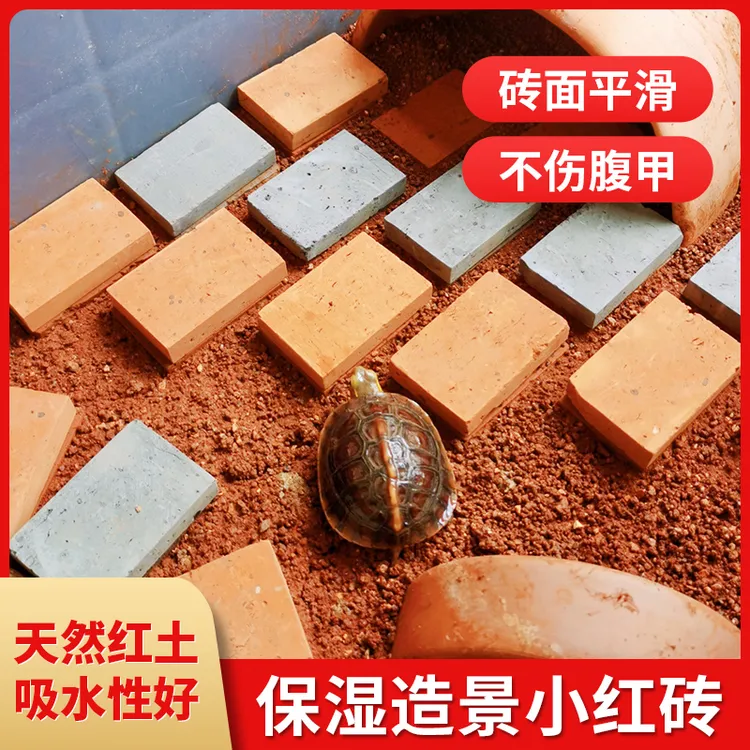 黄缘龟造景专用小红砖安缘龟陆龟铺地垫材吸水地砖黄缘龟环境布置