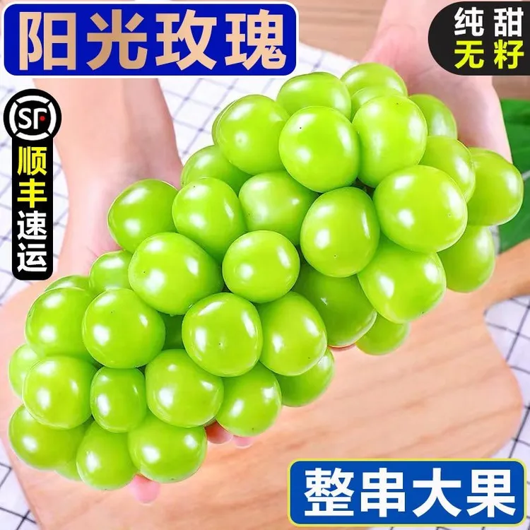 【东方甄选】阳光玫瑰葡萄青提现摘现发提子正宗晴王葡萄孕妇水果