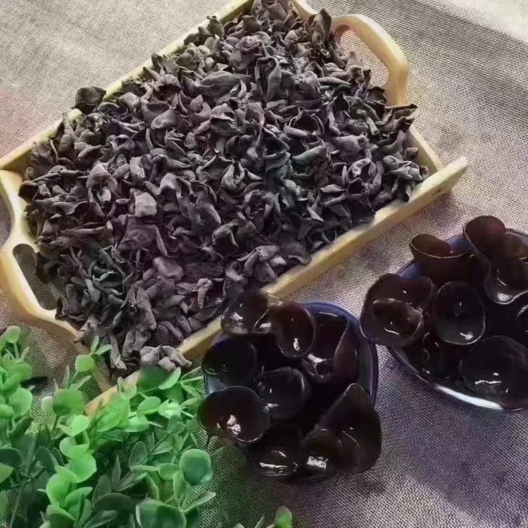 东北长白山秋木耳