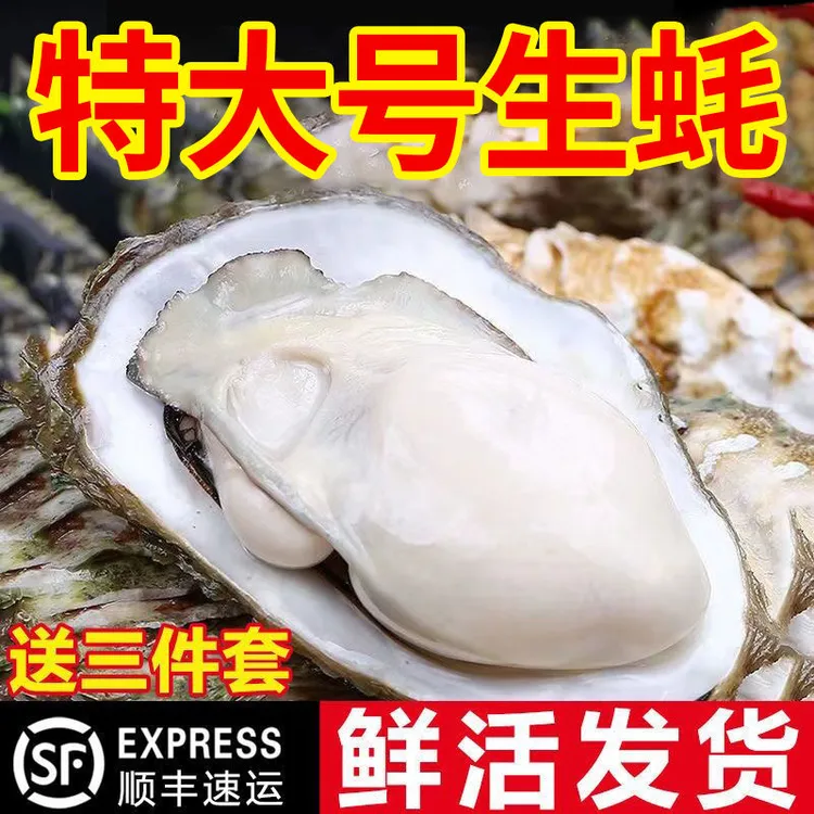 【新店福利】山东冷水生蚝净重5斤发货