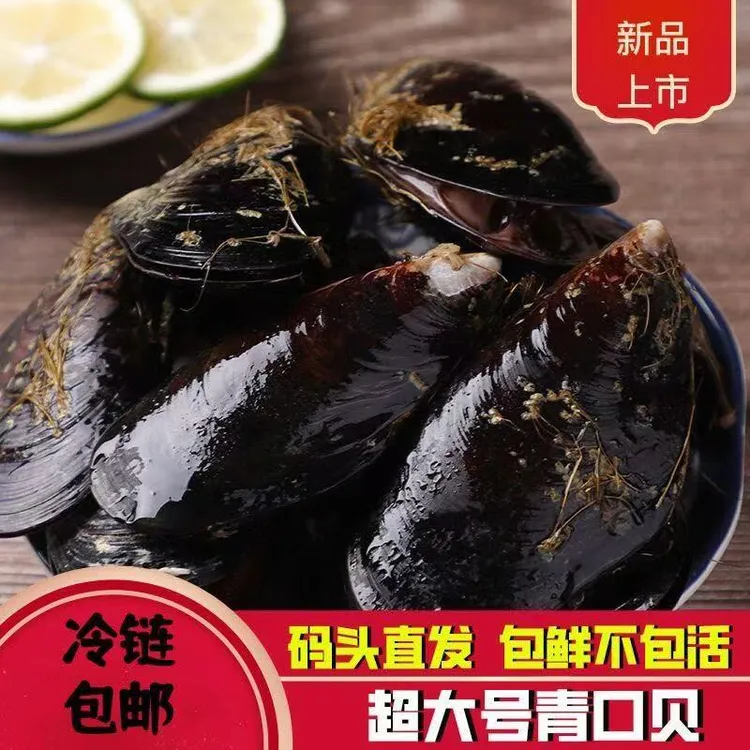 【店铺新品】鲜活大号青口贝贻贝海虹包鲜包肥