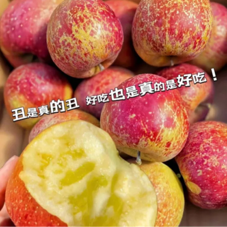 昭通苹果 万千学子的思乡之情