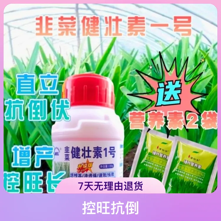 韭菜健壮素一号组合直立控旺抗倒安全不干尖韭菜大蒜叶面肥