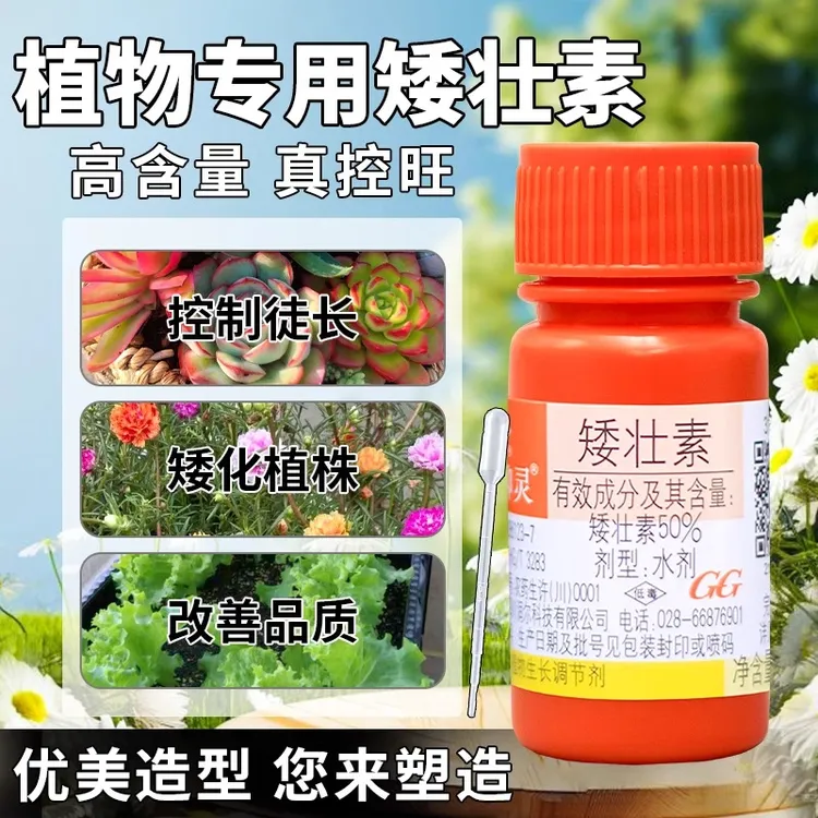 国光矮壮素植株健状控旺剂植物花卉壮矮素太阳花多肉专用矮胖调节