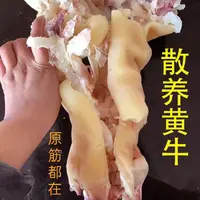 （多送1斤）9成熟去骨熟牛蹄不抽筋火烧毛清水煮不漂白小黄牛下酒菜