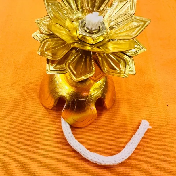 灯芯2个 续时1月(可调大小,各种供灯可以使用)