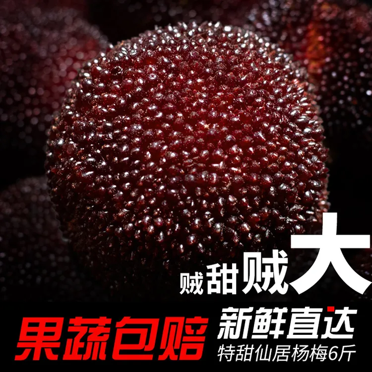 浙江高山东魁杨梅72颗粒装新鲜水果约4.5斤（潭鱼哥专属链接）