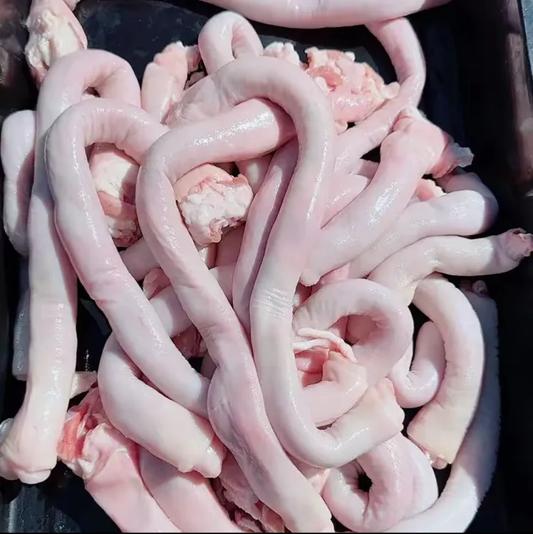 猪肚头生鲜新鲜肚芯-猪红肠食道管鲜冻发货5斤