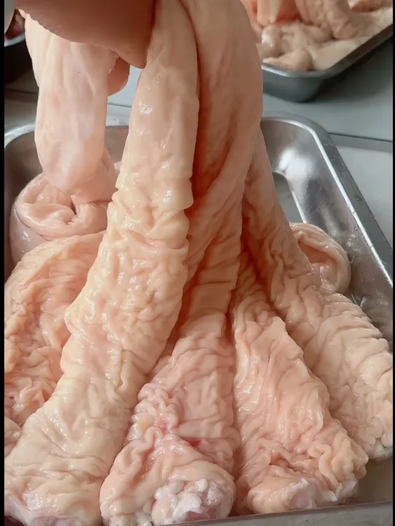 带油大肠头猪肠新鲜猪大肠肥肠带名肠当地笨猪适合餐饮家庭商用