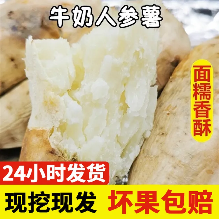 白皮人参薯新鲜现挖白心番薯正宗小白薯红苕地瓜粉糯5斤