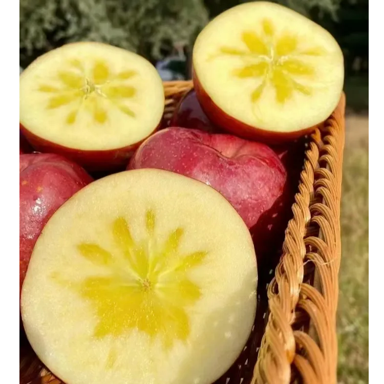 云南高原糖心丑苹果  脆甜多汁 自然成熟