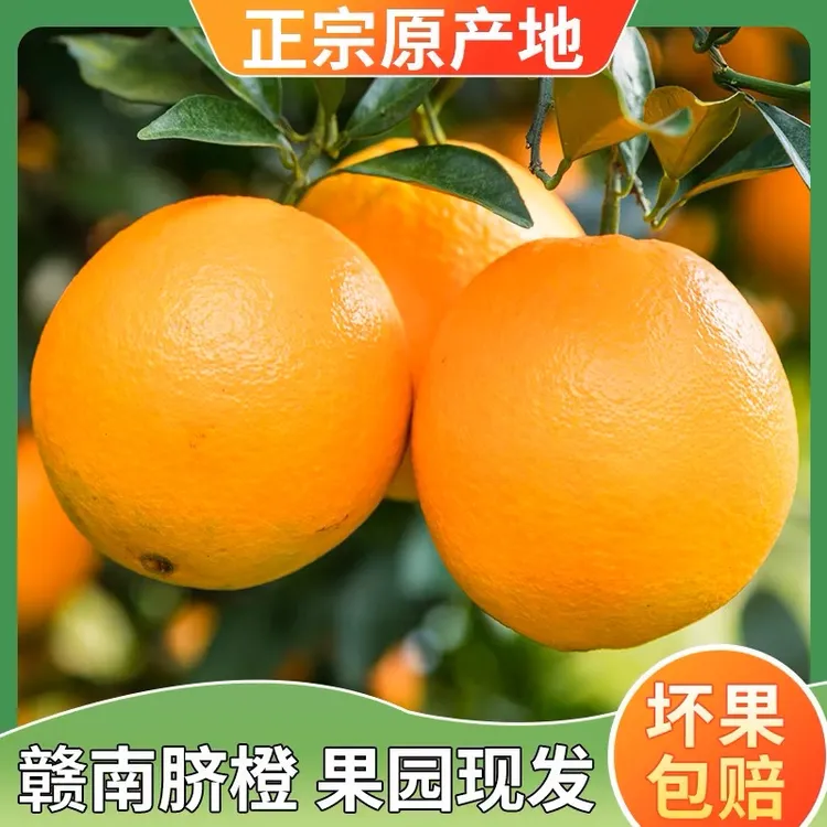 正宗【赣南早脐橙】手剥橙子新鲜应季孕妇水果皮薄多汁现摘果园直发