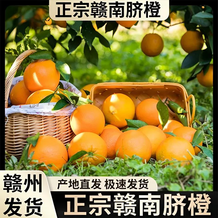 正宗赣南脐橙江西脐橙皮薄多汁新鲜孕妇水果产地新鲜水果
