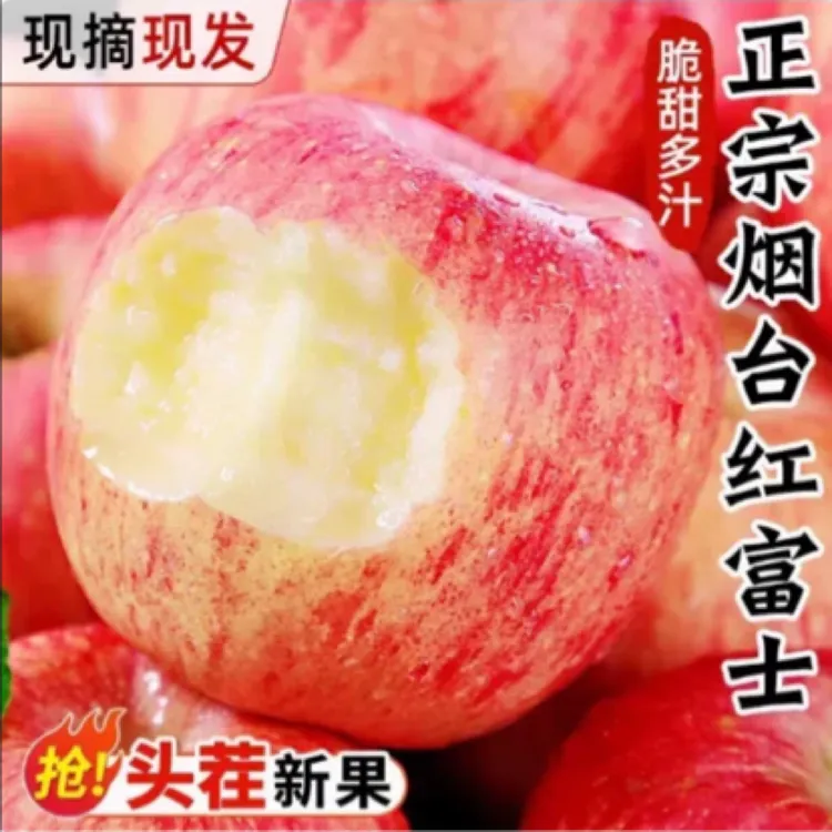 现摘烟台红富士苹果新鲜脆嫩